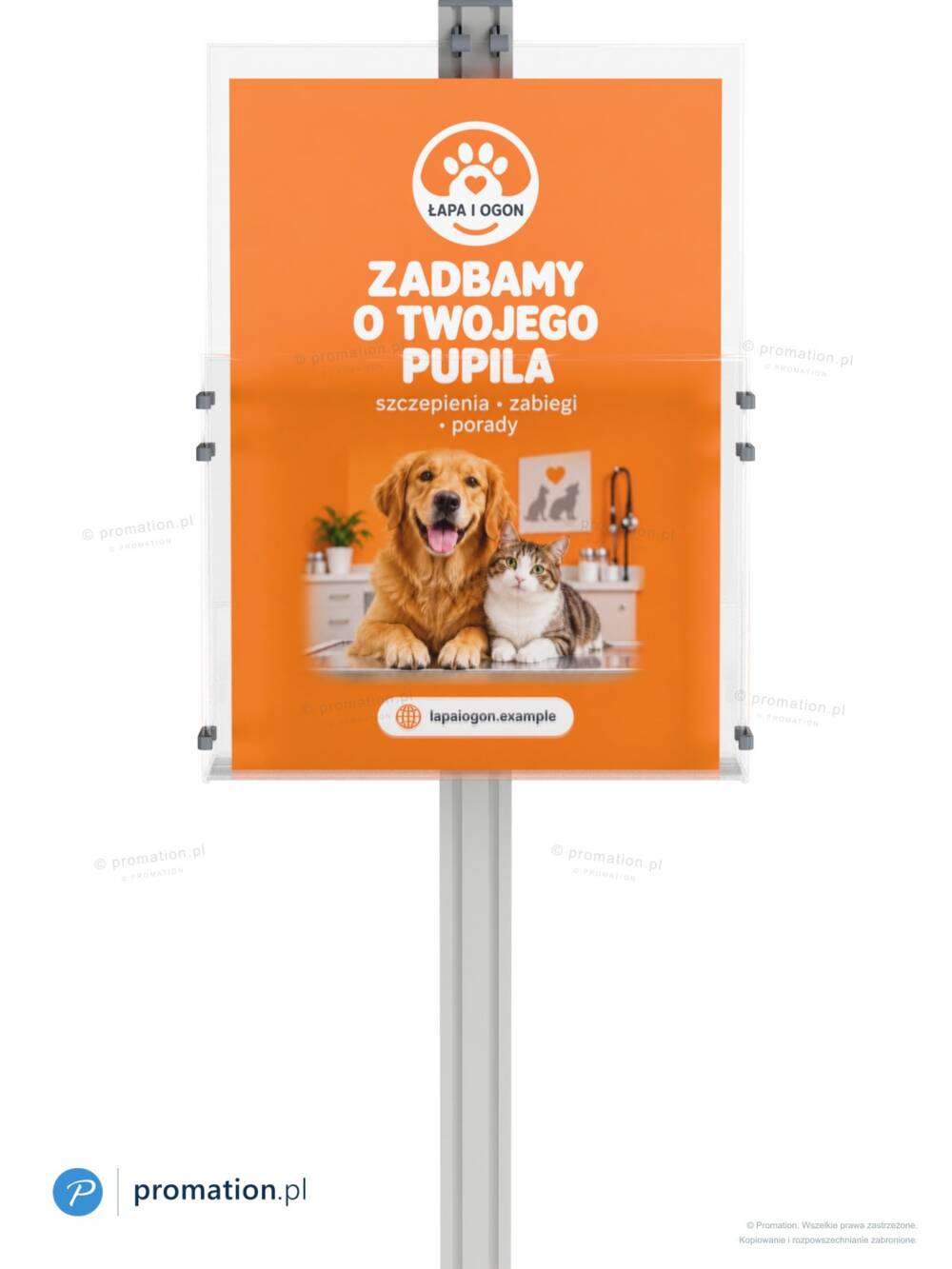 Przód kieszeni stojaka P138a4a z bliska – folder A4 z psem i kotem za przezroczystą pleksi